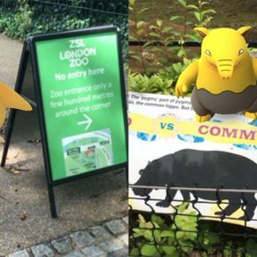 5 Zoos You Need to See in your Lifetime 5 Zoos You Need to See in your Lifetime