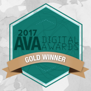 2017 AVA Digital Awards: Peerless-AV Blog Takes Home Gold