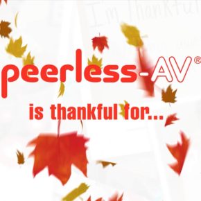 Peerless-AV Gives Thanks in 2018