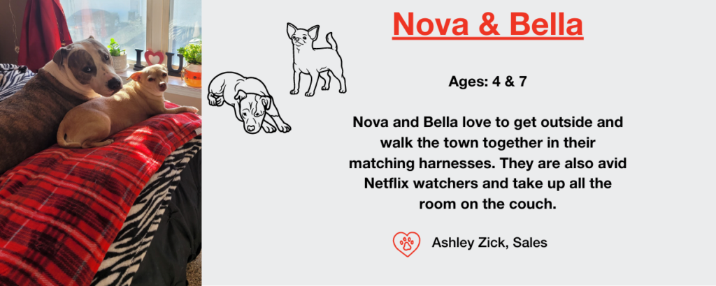 Nova and Bella National Pet Day