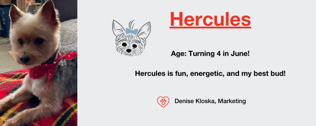 Hercules Graphic